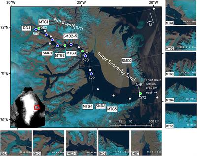 Influence of Glacial Meltwater on Summer Biogeochemical Cycles in Scoresby Sund, East Greenland